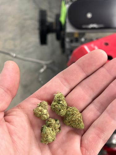 Customer photo review of Blueberry Syrup - 28 Grams - Indica