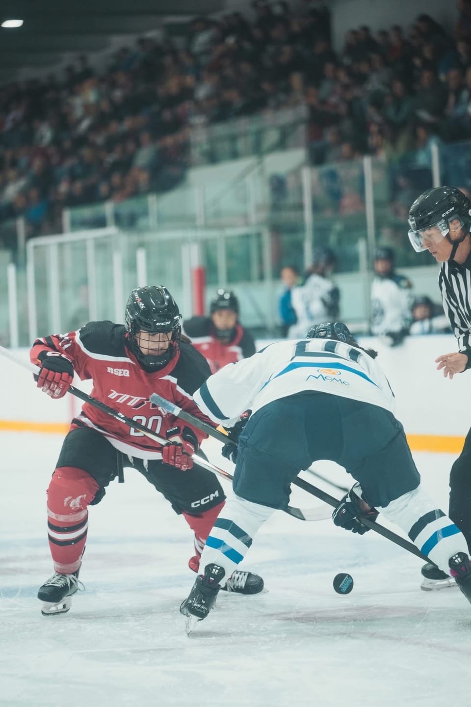 Customer photo review of ZP-PRO HOCKEY REFEREE PADDED PANTS