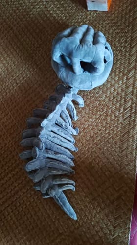 Customer photo review of DinoFluff