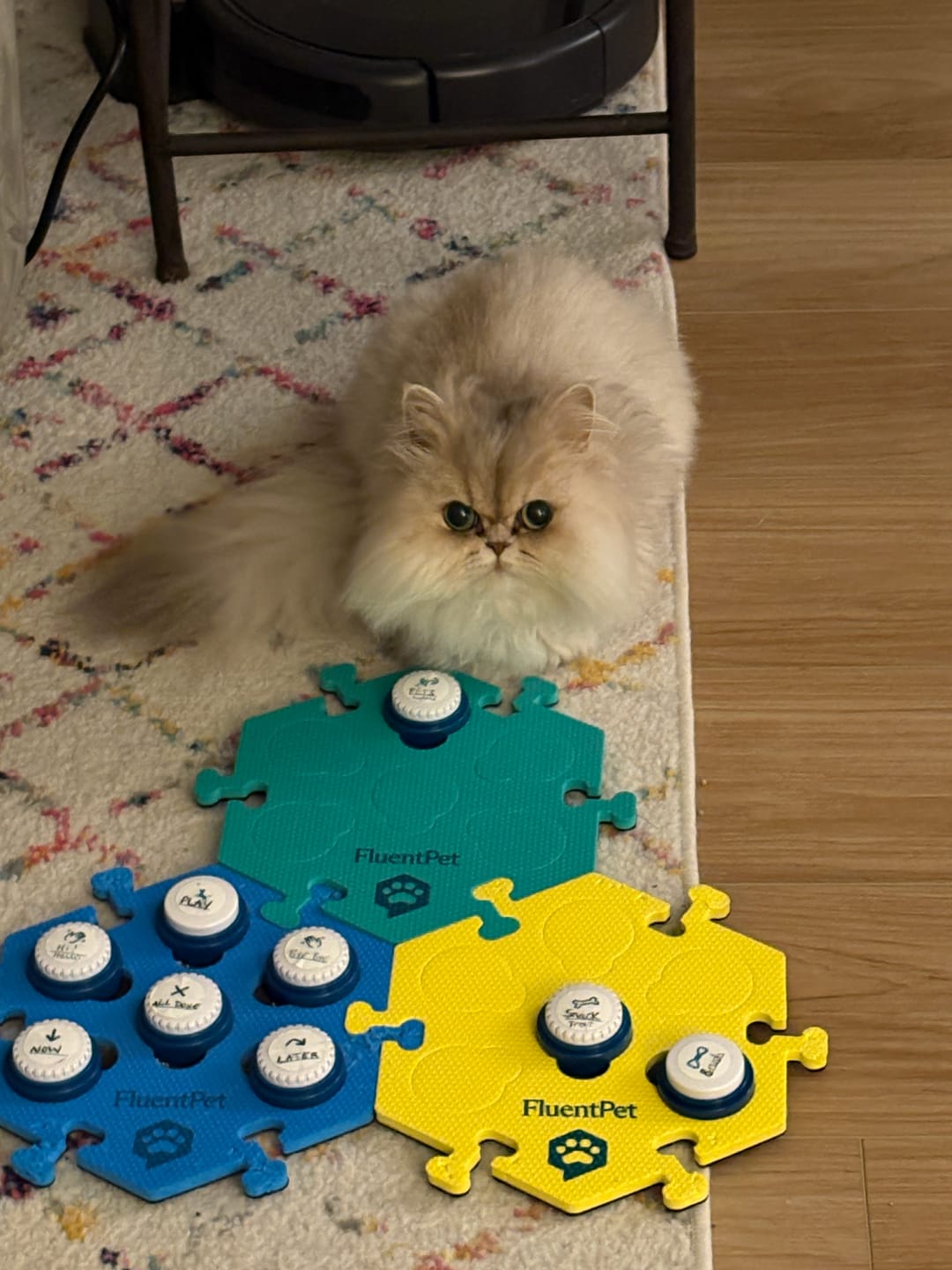 Customer photo review of HexTile - 8"