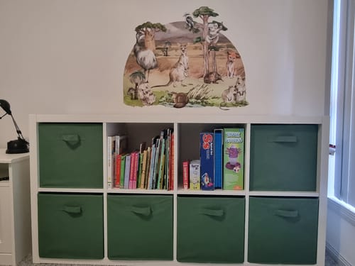 Customer photo review of Australian Animals Wall Mural