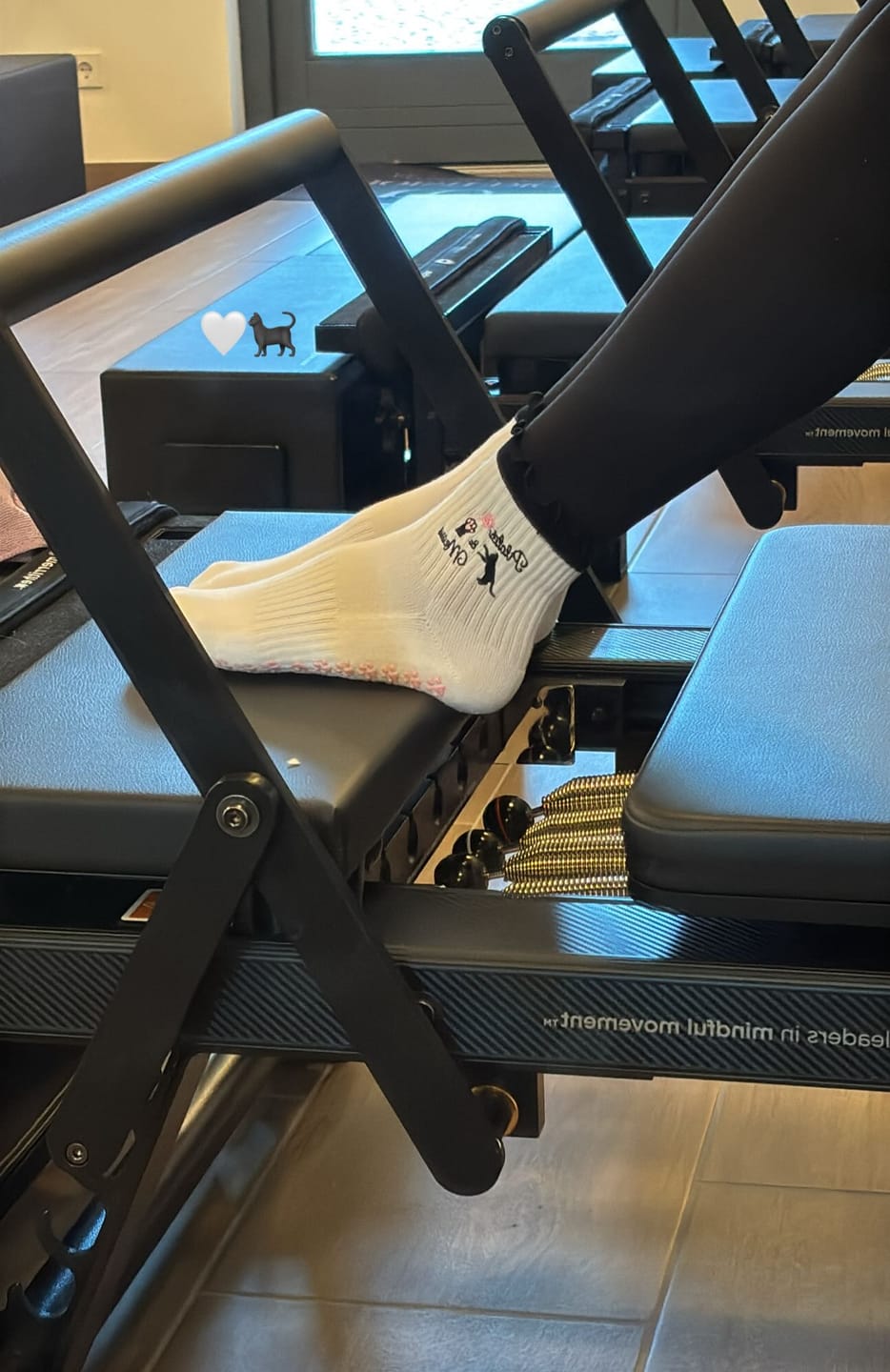 Customer photo review of Pilates & Meow