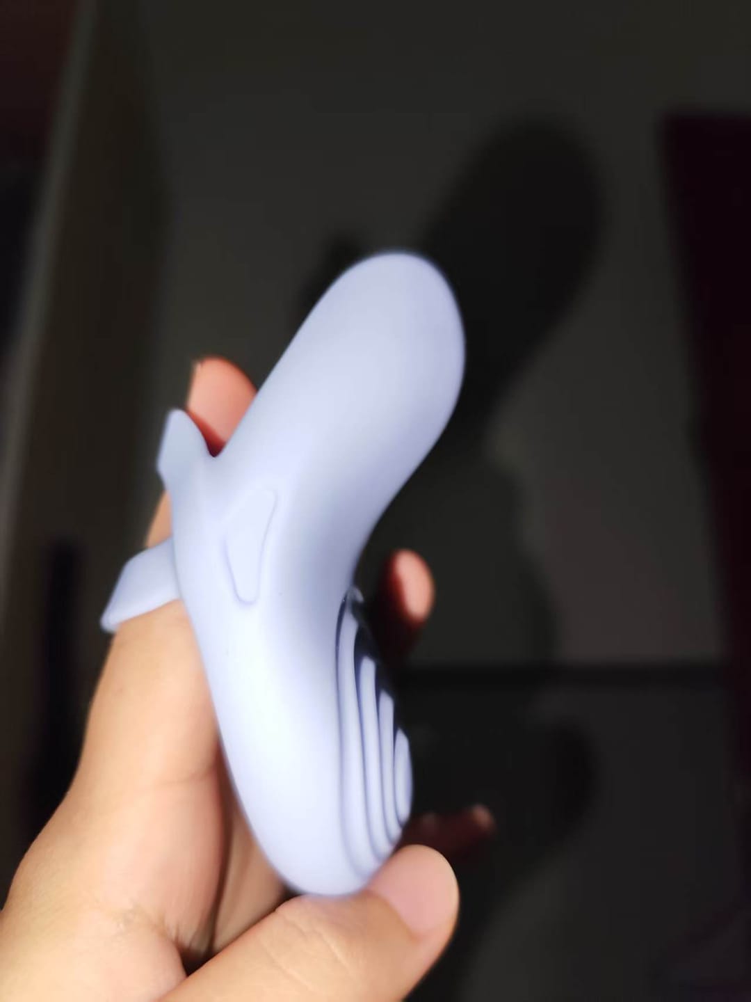 Customer photo review of ECHO 2