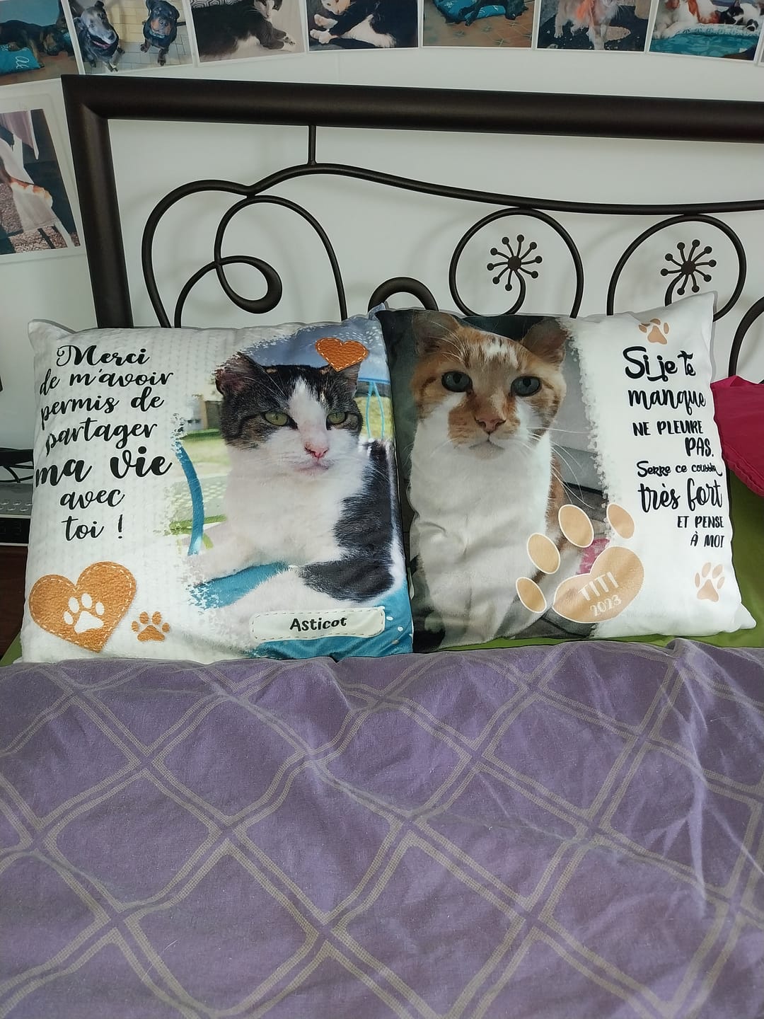 Customer photo review of Merci - Coussin personnalisé