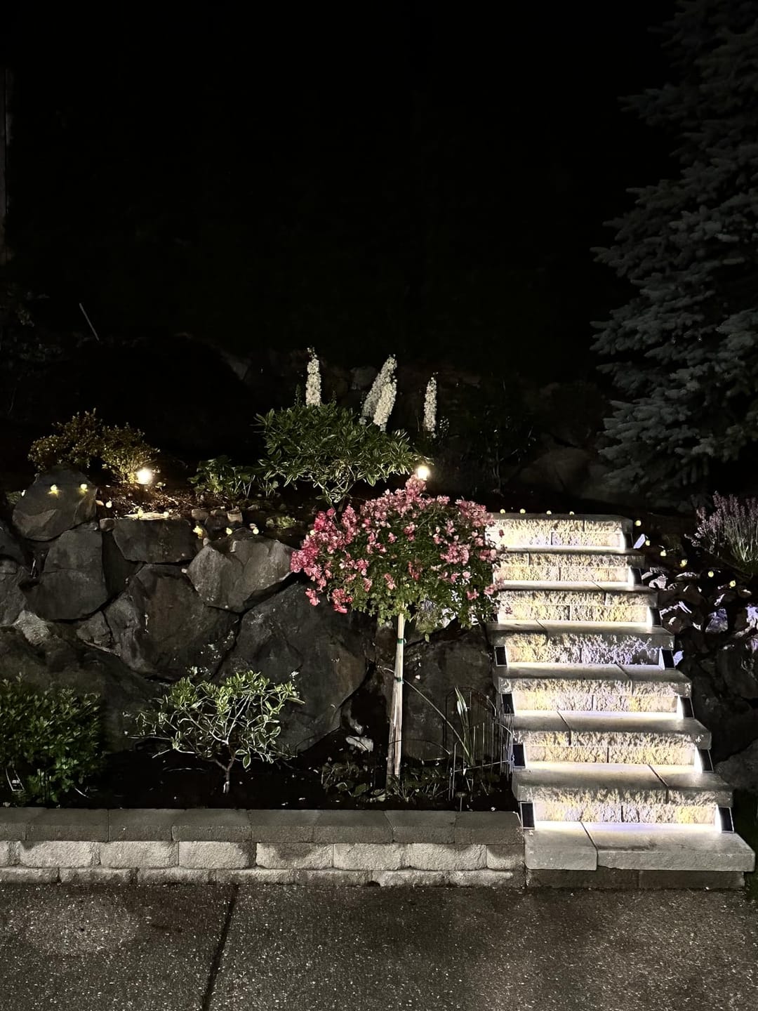 Customer photo review of SolaGarden™ Step Light Pack