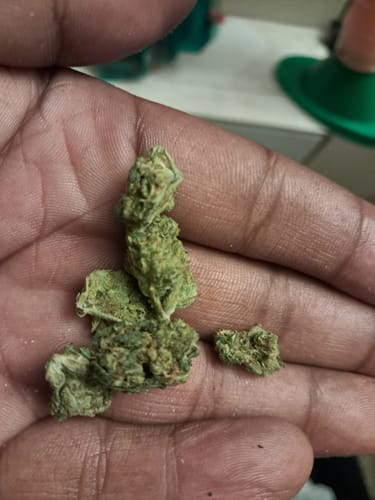 Customer photo review of Shipping Protection by Route