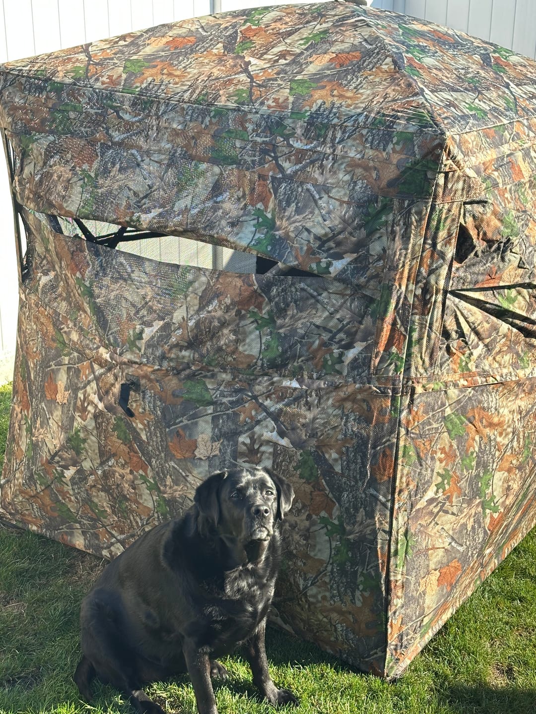 Customer photo review of Vis Series See Through Hunting Blind, Pop Up Ground Deer Blind