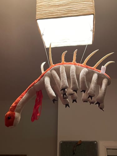 Customer photo review of Adorable Hallucigenia Plush Toy – Prehistoric Sea Creature Stuffed Animal