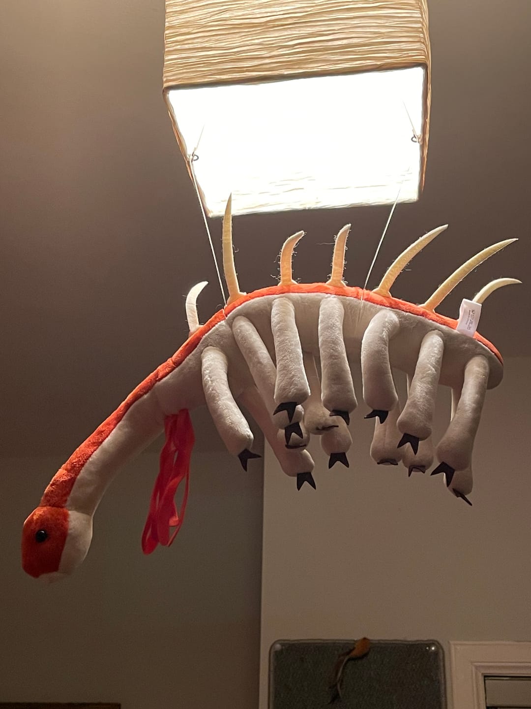 Customer photo review of Adorable Hallucigenia Plush Toy – Prehistoric Sea Creature Stuffed Animal