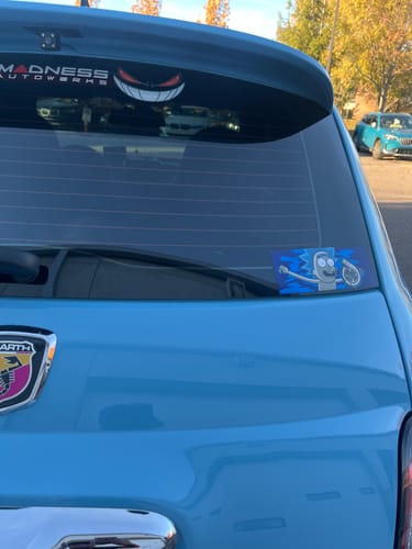Customer photo review of R&M BOOST SLAP STICKER