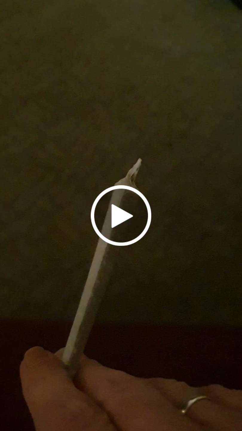 Customer video review of 🪙 Super Silver Haze 10HC Prerolls - POWER LVL: 4/5