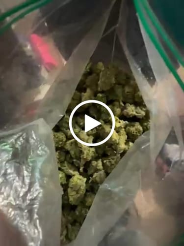 Customer video review of Greenhouse Smalls