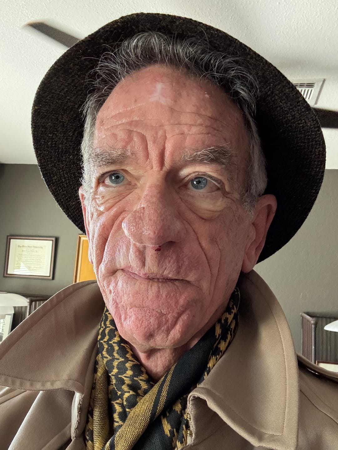 Customer photo review of Walking Hat Tweed