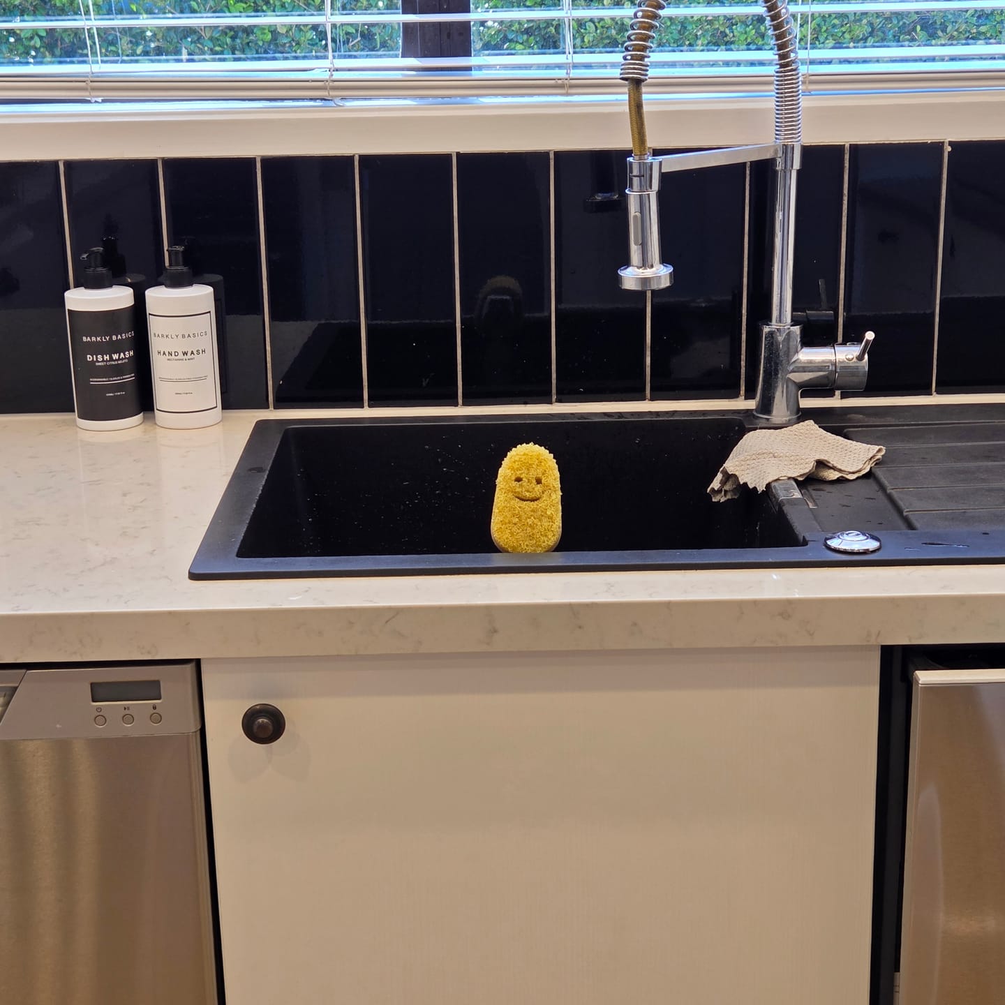 Customer photo review of Dish Daddy