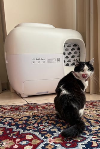 Customer photo review of Self-Cleaning Litter Box