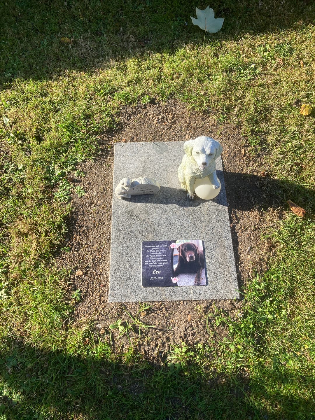 Customer photo review of Hunde Gedenktafel mit Foto & Spruch (UV- & Wetterfest)