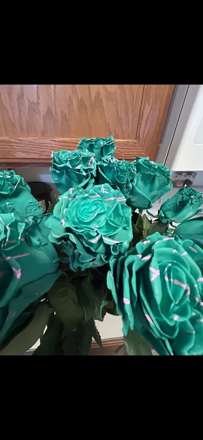 Customer photo review of Mint Picasso