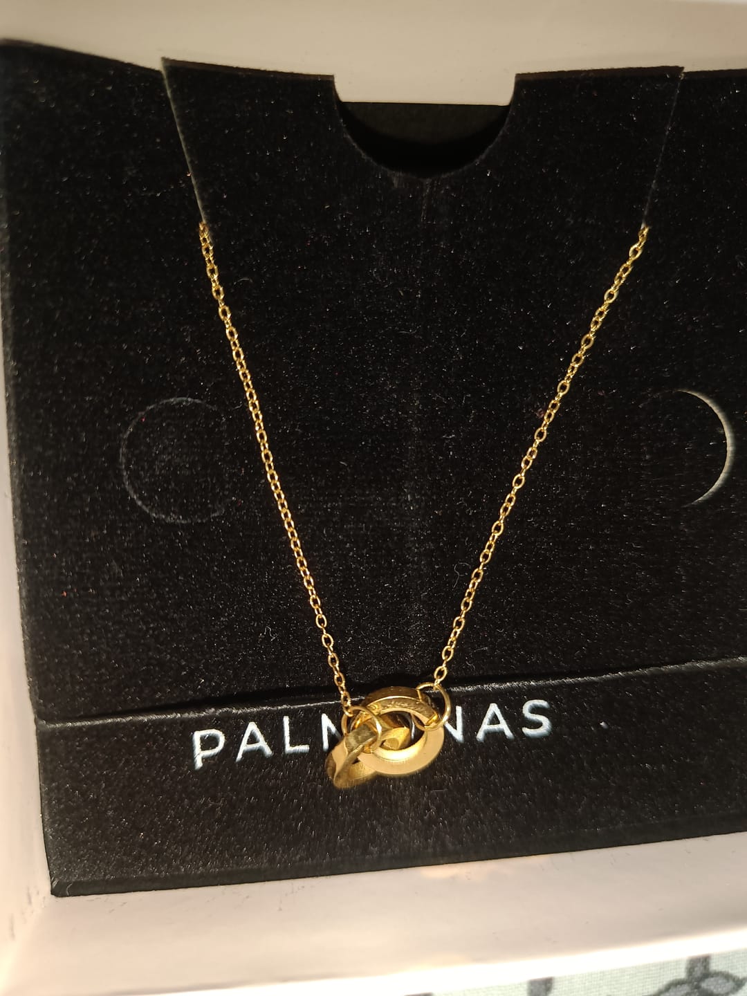 Customer photo review of Linked Circles Harmony Necklace