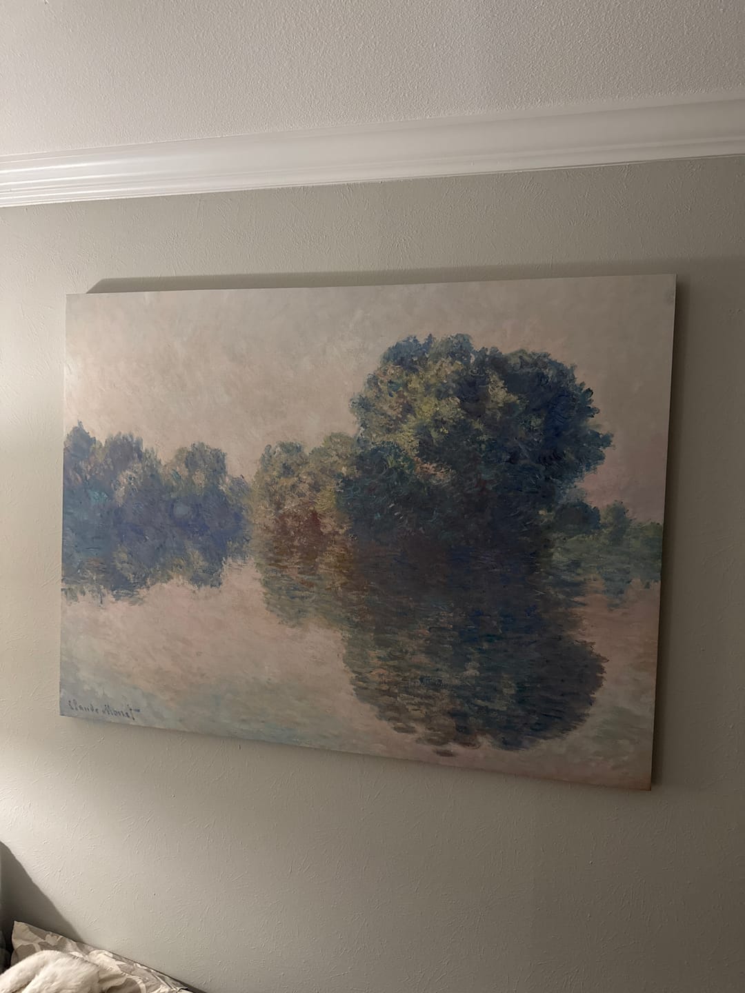 Customer photo review of The Seine at Giverny