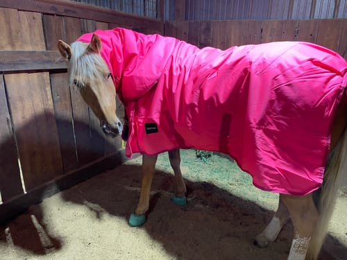Customer photo review of HOT PINK 1200D PERFECT FIT WINTER BLANKET WITH NECK