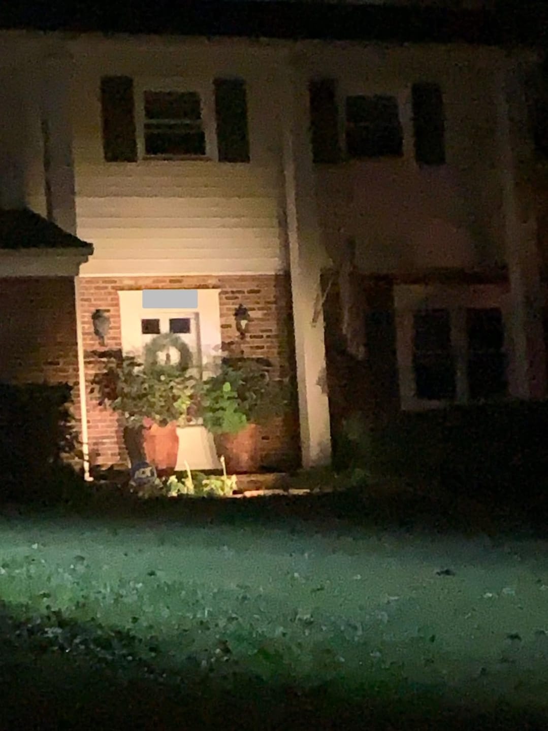 Customer photo review of SolaGarden™ Spot Light Pack