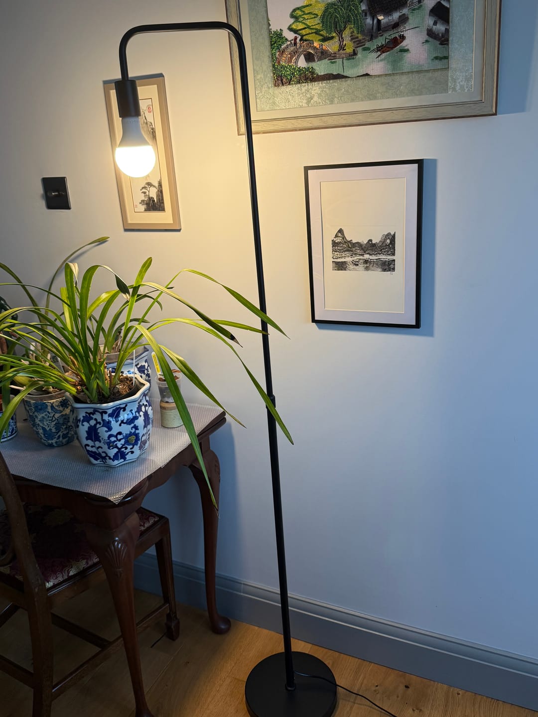 Customer photo review of Pianta Adjustable Floor Lamp