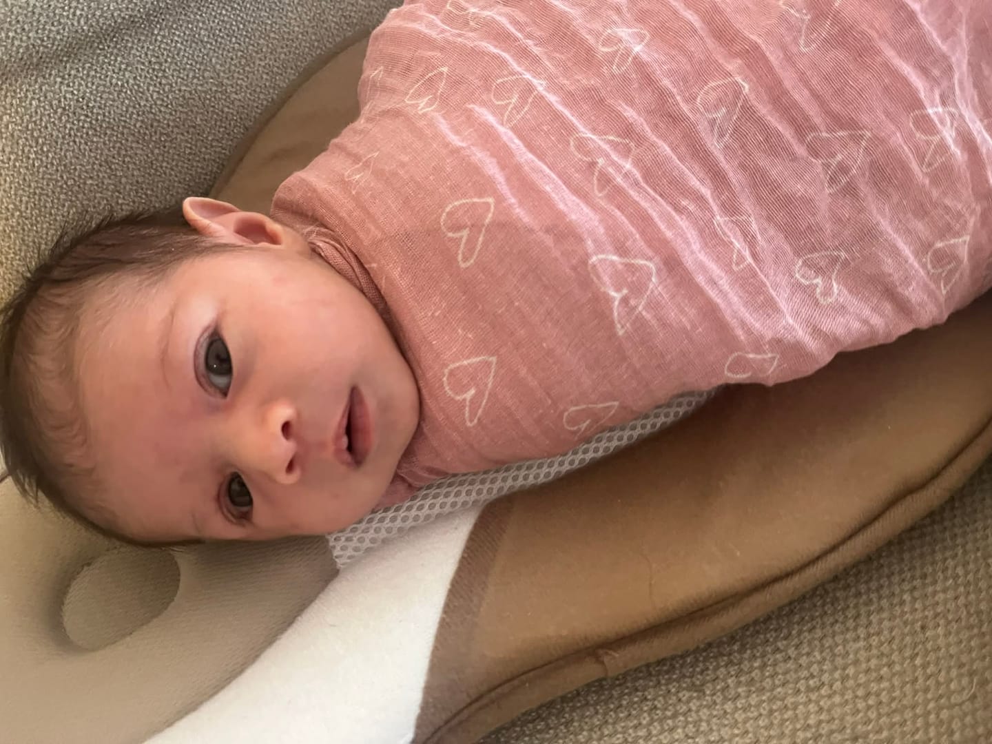 Customer photo review of Baby Bed Pal
