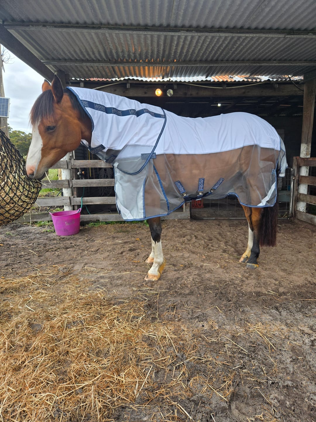 Customer photo review of LE Breeze Summer Sheet with Fieldsafe Front