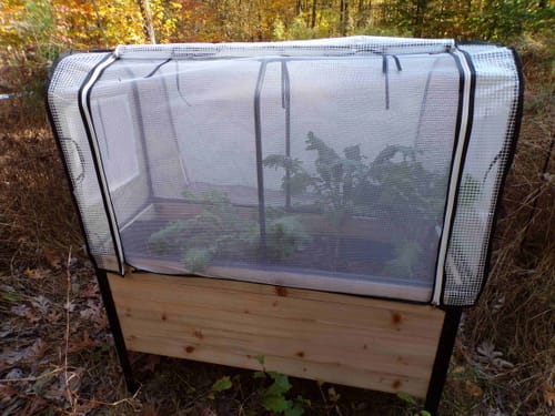 Customer photo review of Greenhouse Cover