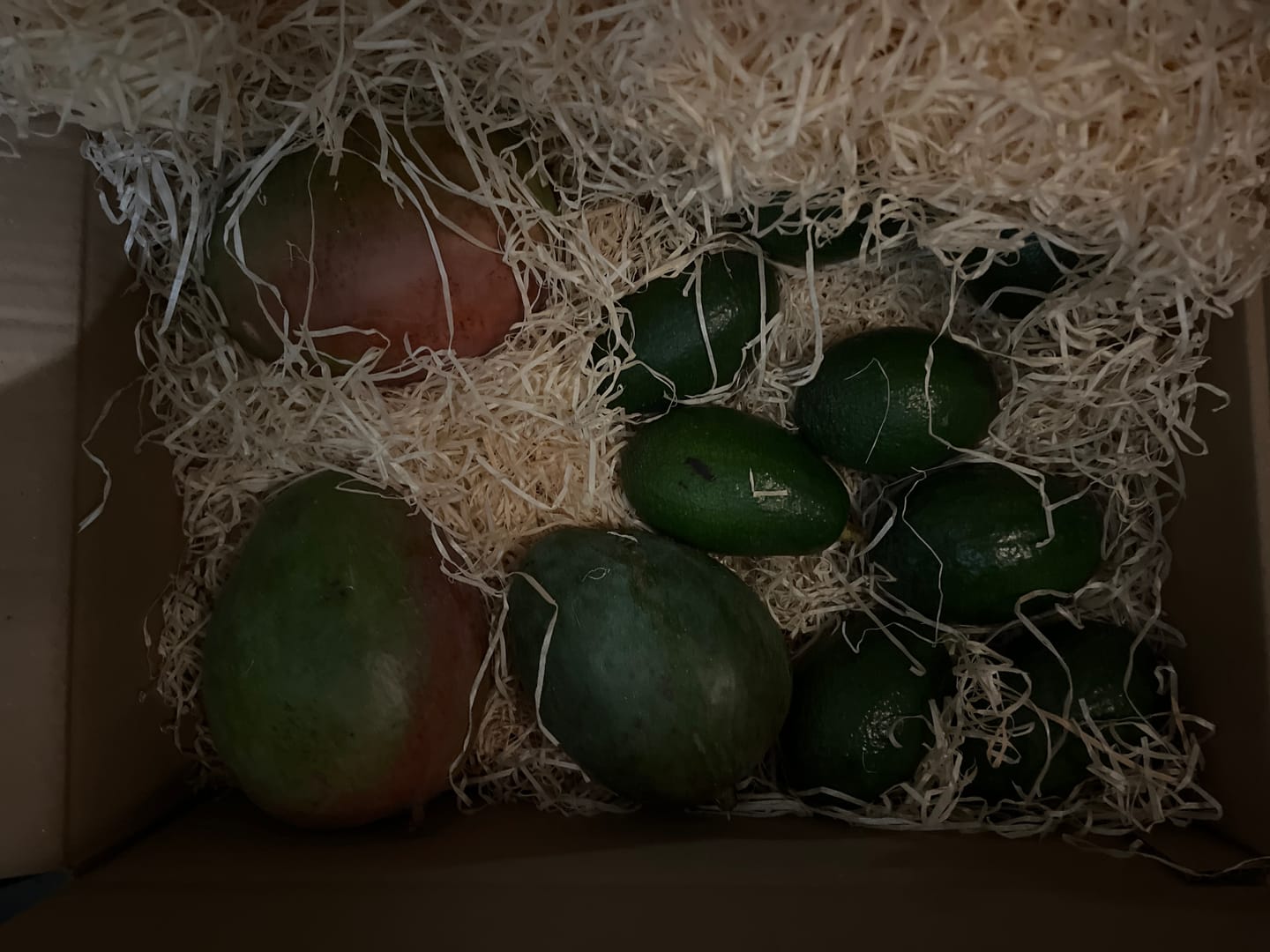 Customer photo review of Mango Keitt Sonderaktion % Box 4kg