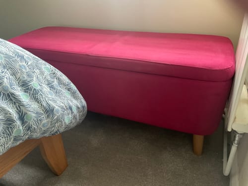 Customer photo review of Fabric Paint -- Raspberry