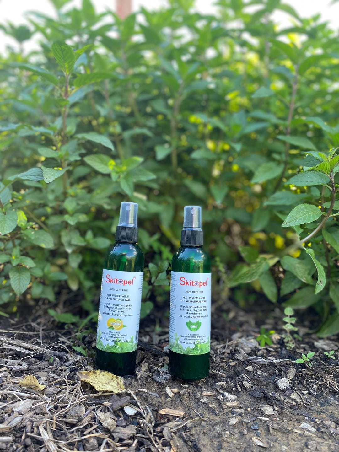 Customer photo review of Skitopel Natural Insect Repellent Bundle - 2oz Mint Spray, 16oz Lavender & Lemon Balm Candle