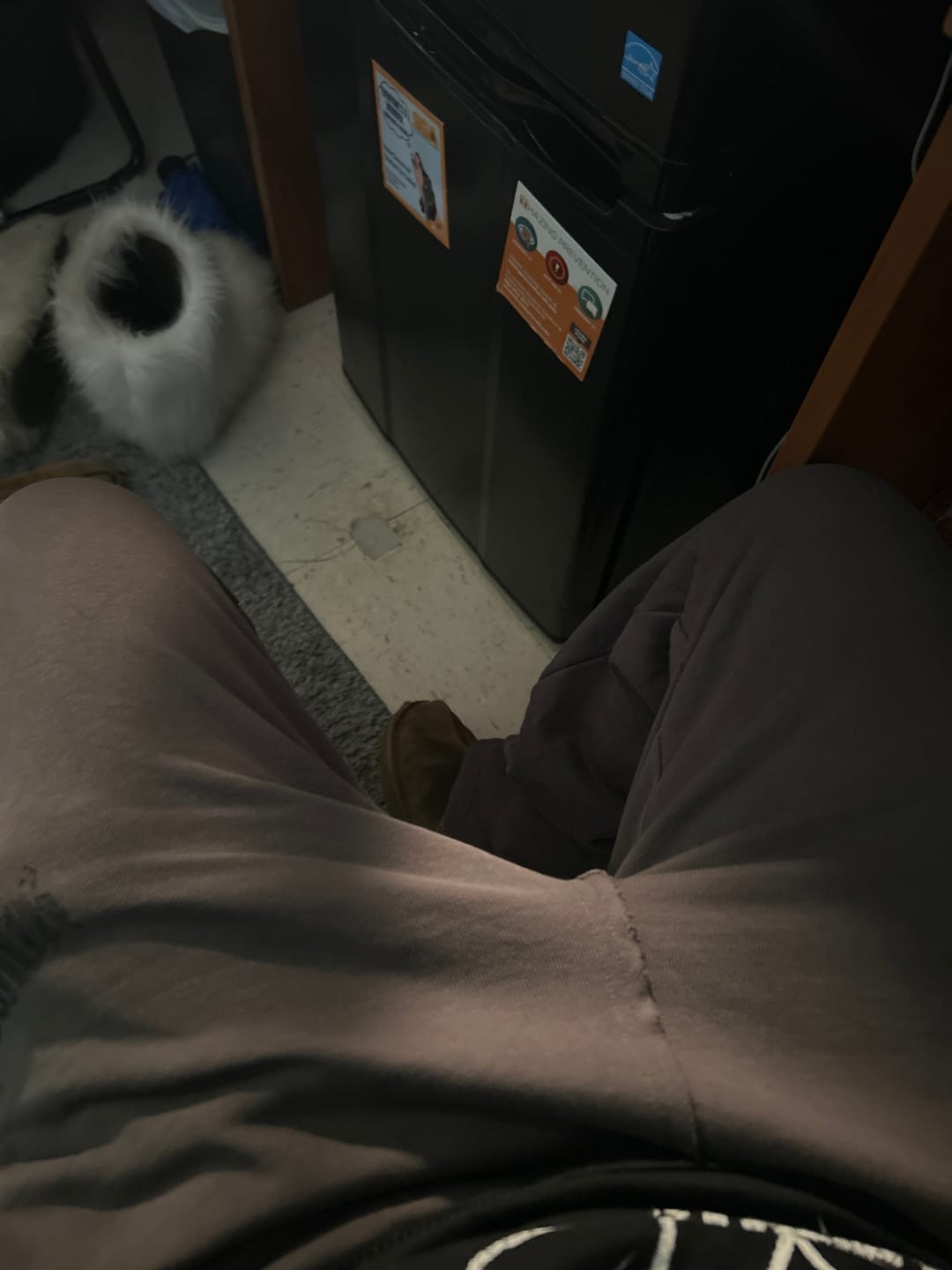 Customer photo review of W260 - Rebel Straight Leg Joggers