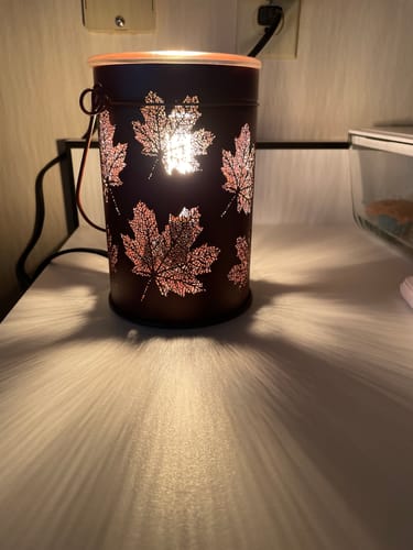 Customer photo review of Soy Wax Melt Bar