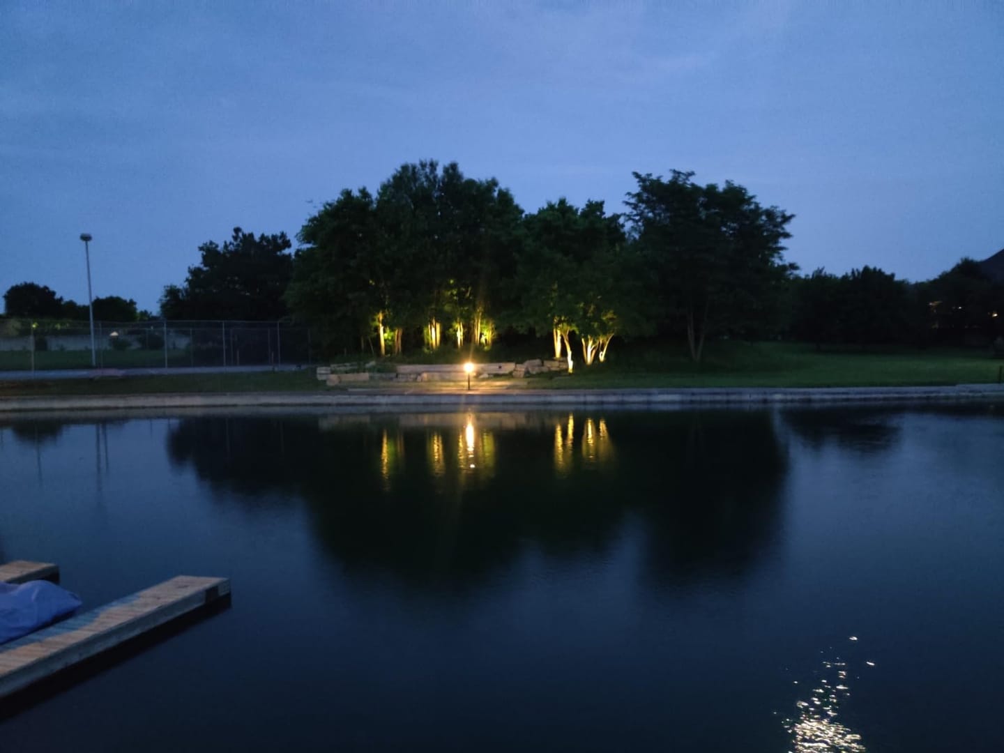 Customer photo review of SolaGarden™ Spot Light Pack