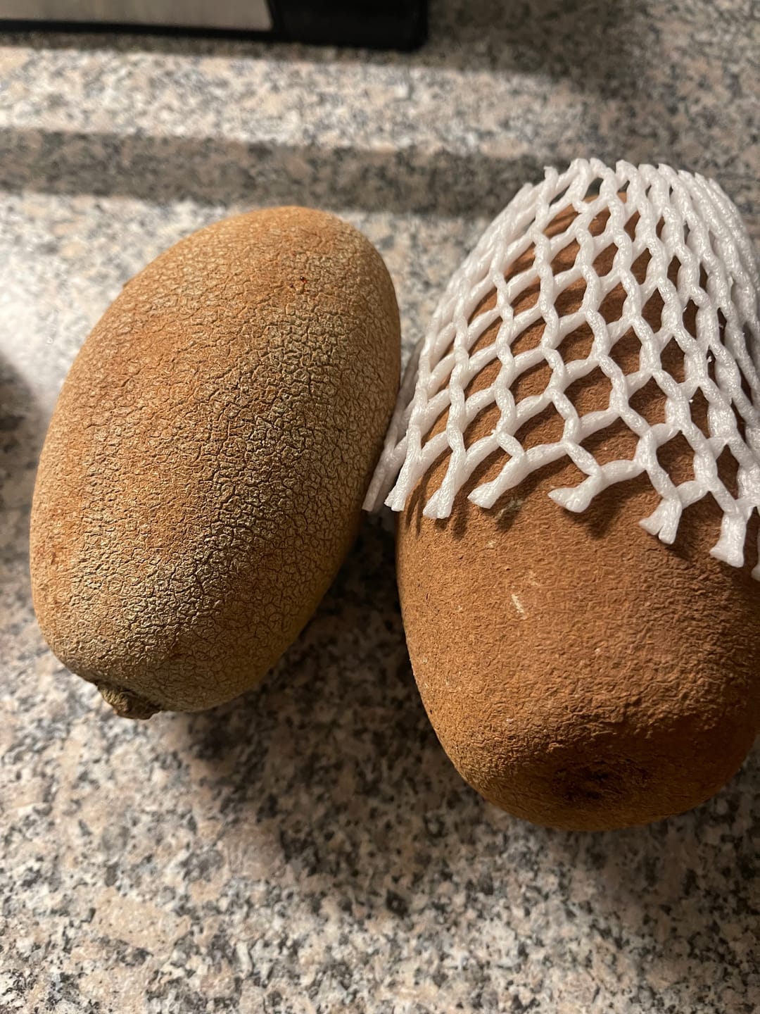 Customer photo review of Sapote Purple (Zapote Morado) Stk (ca. 400-500g)