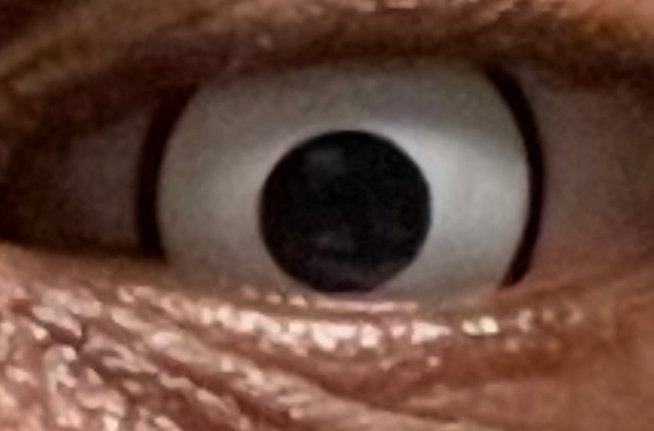Customer photo review of Halloween Cosplay White Manson Prescription Colored Contact Lenses