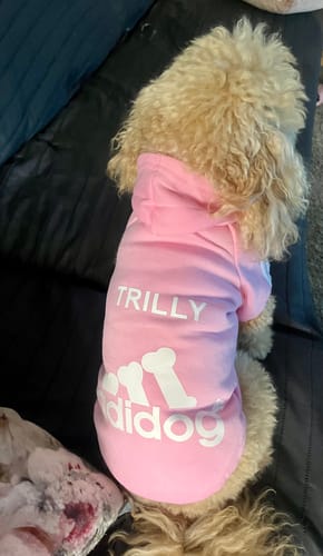 Customer photo review of Felpa "Adidog" Rosa Personalizzabile con nome