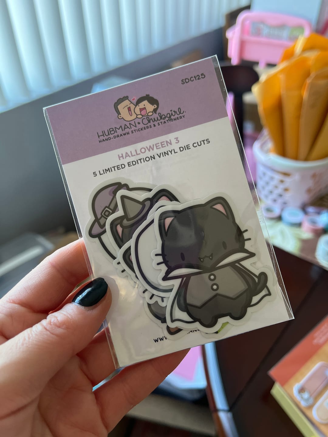 Customer photo review of Spooky Halloween Die Cut Stickers (Set of 5)