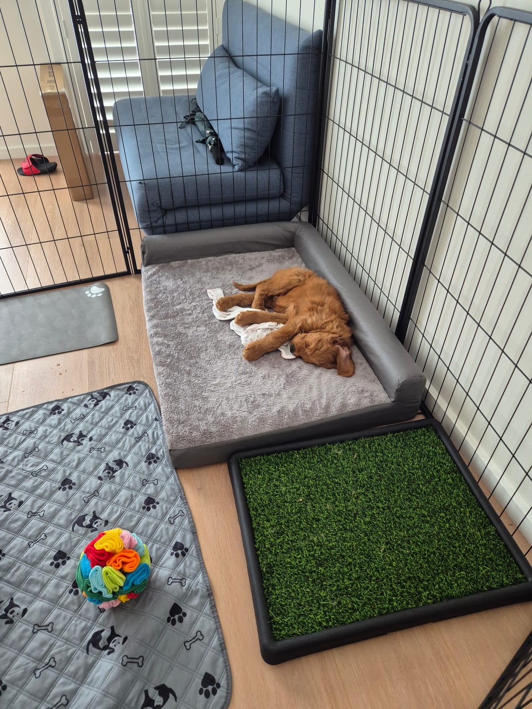Customer photo review of 8 Panel Pet Dog Playpen