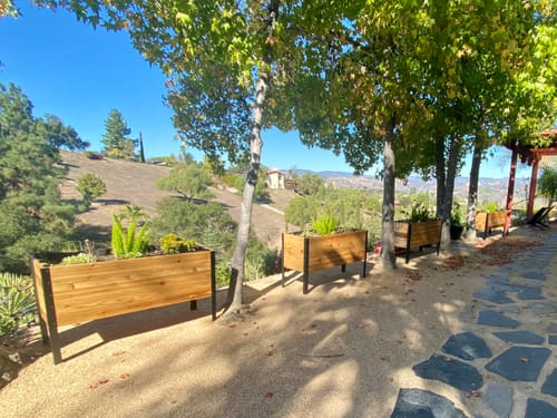 Customer photo review of 18" x 48" Raised Garden Bed - 30" TALL