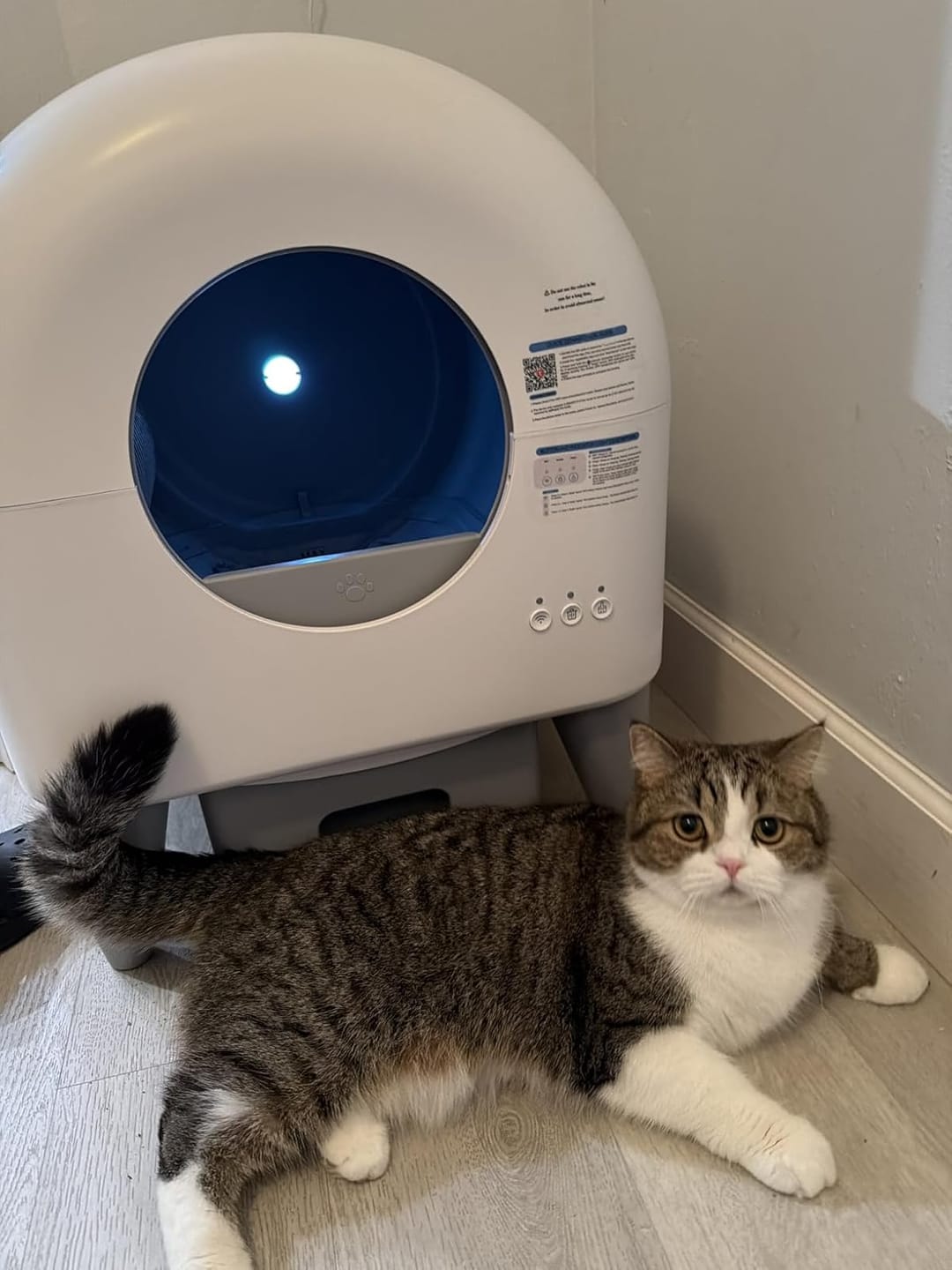 Customer photo review of Cumrige M4 Self-Cleaning Litter Box | Smart Odor-Control Automatic Cat Litter Box