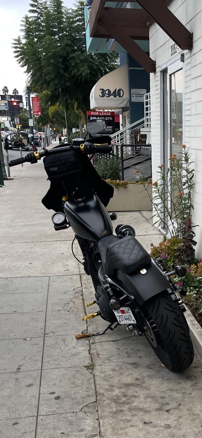 Customer photo review of SADDLEMEN GOLD SECURITY SCREW