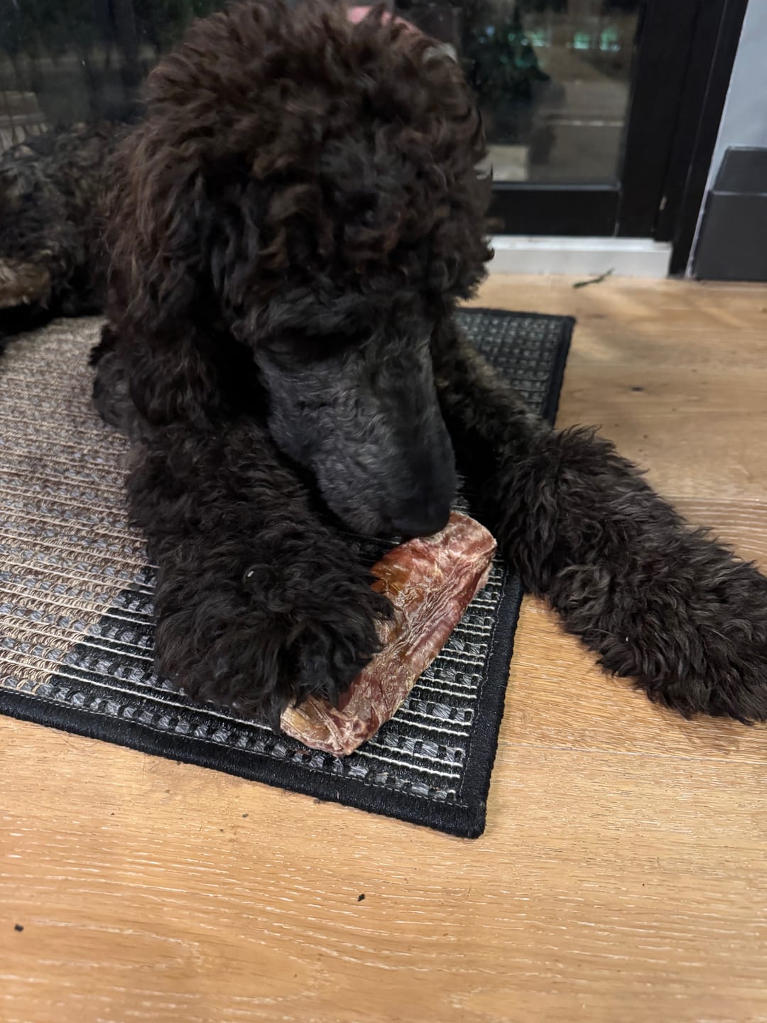 Customer photo review of 6 Inch Trachea Wrapped in Jerky