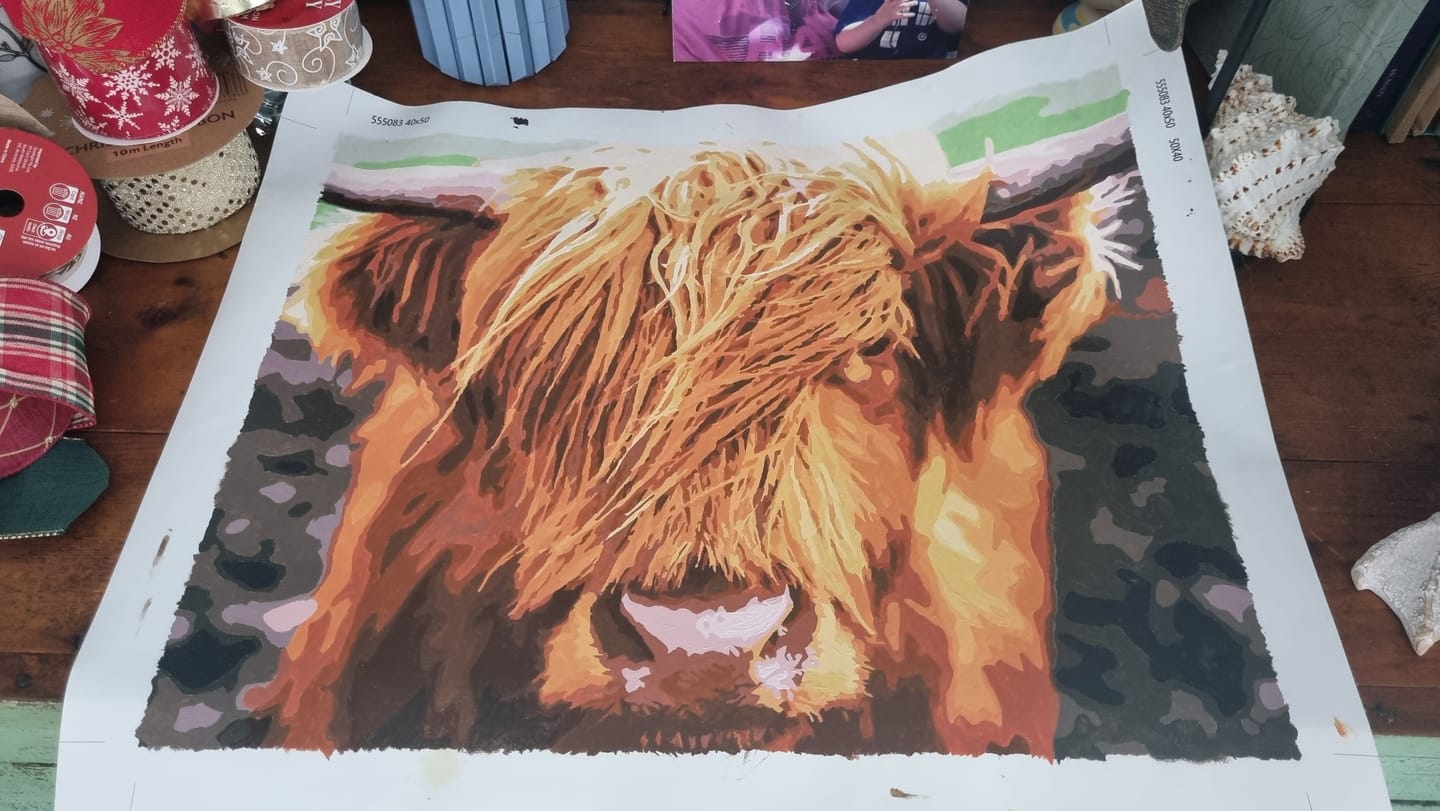 Customer photo review of Scottish Highland Cattle | Paint by numbers