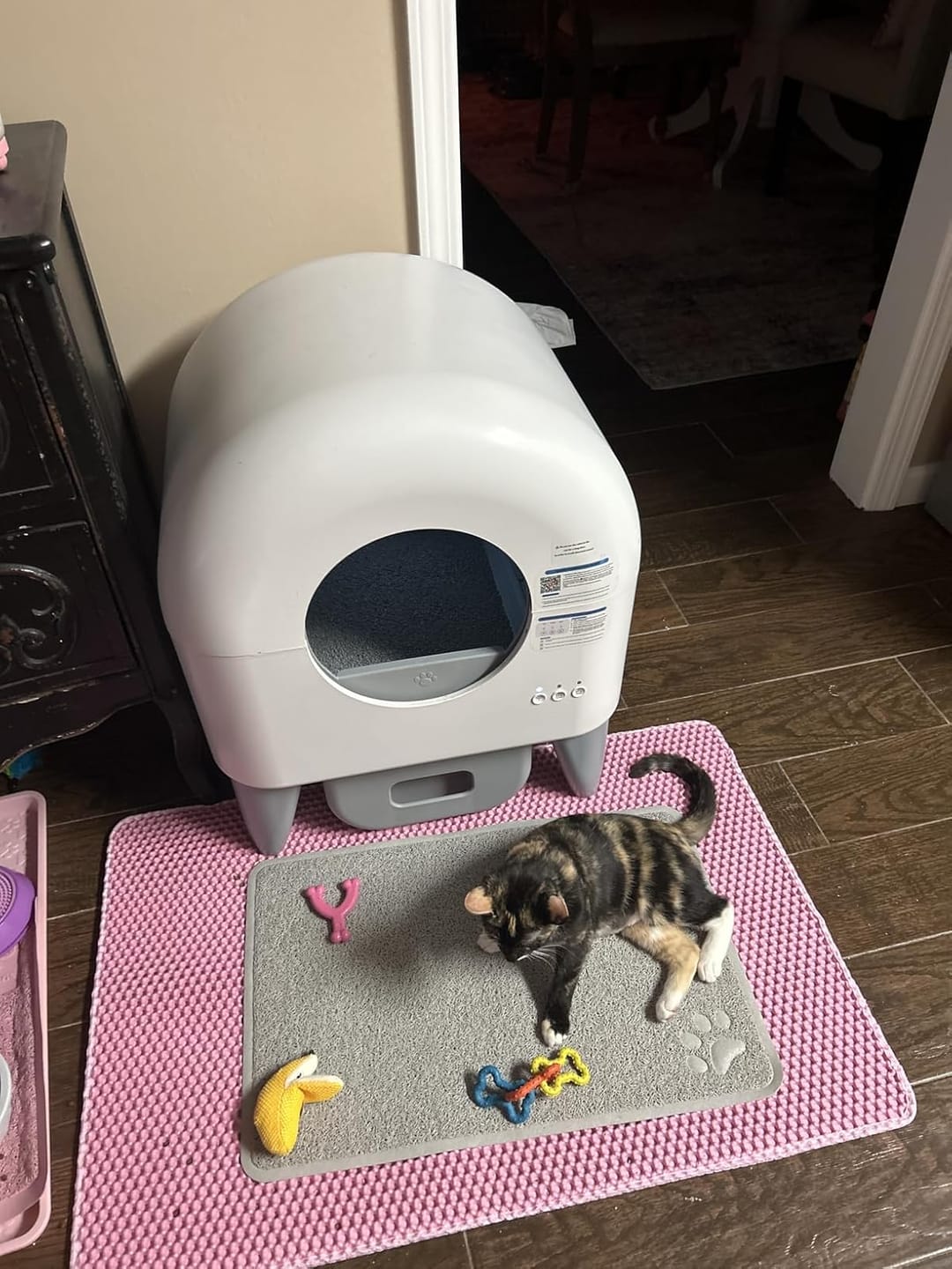 Customer photo review of Cumrige M4 Self-Cleaning Litter Box | Smart Odor-Control Automatic Cat Litter Box