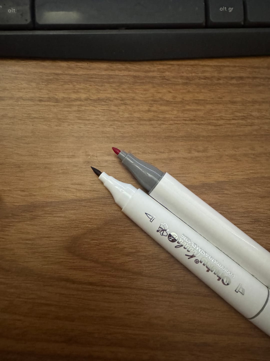 Customer photo review of Ohuhu Kaala Dual Tips Alcohol Art Markers- 60 Colors Illustrations
