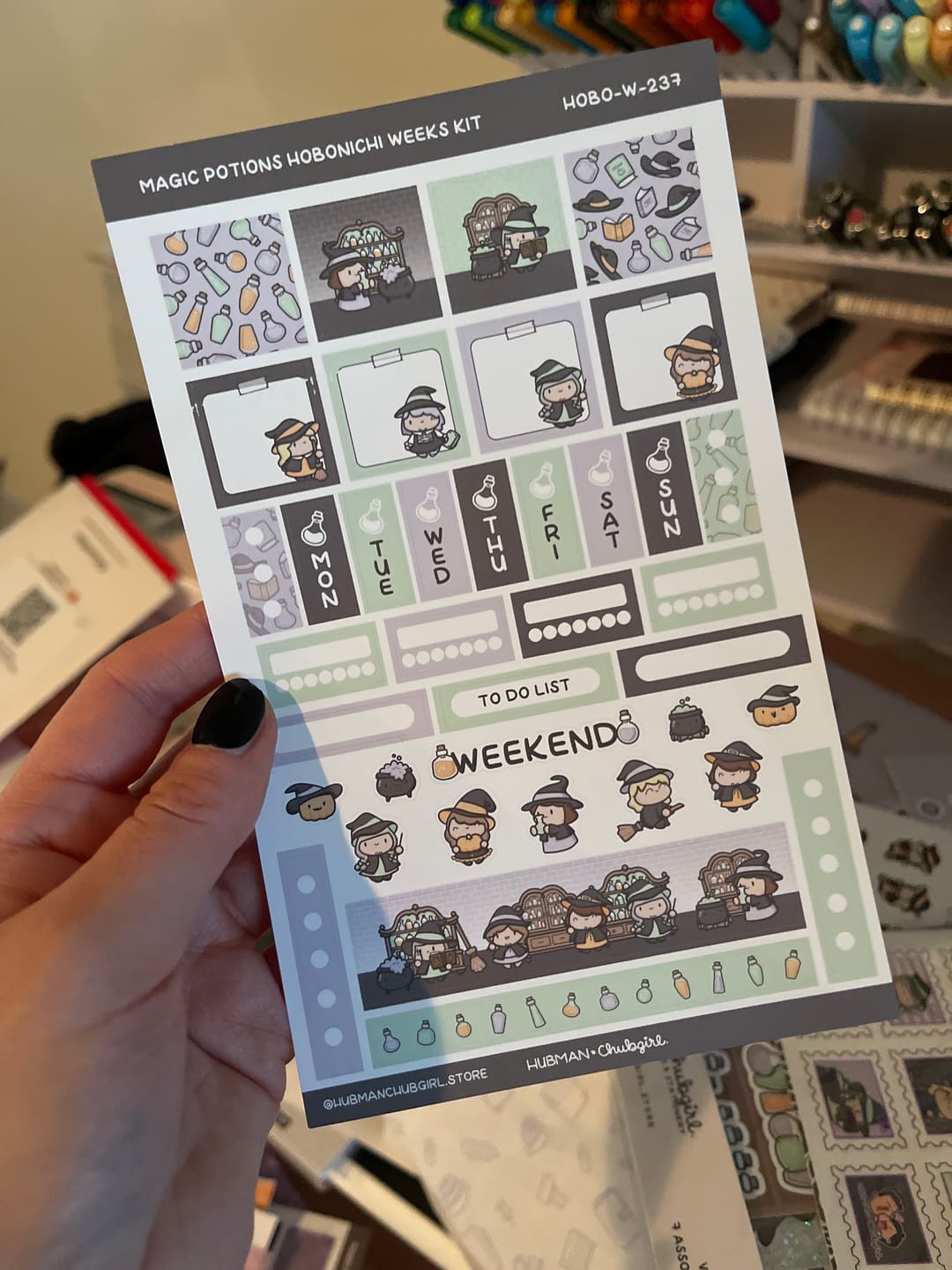 Customer photo review of Magic Potions Theme Hobonichi Weeks Kit