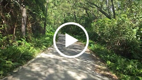 Customer video review of Exway Flex Paragon