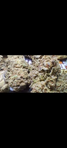 Customer photo review of White Rhino THCA Flower